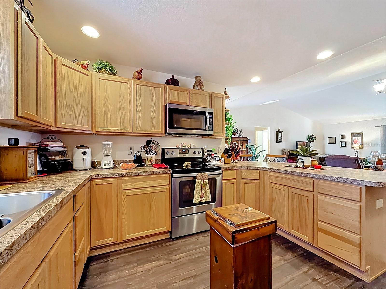 3531 THORNE PATH, OXFORD, FL, 34484