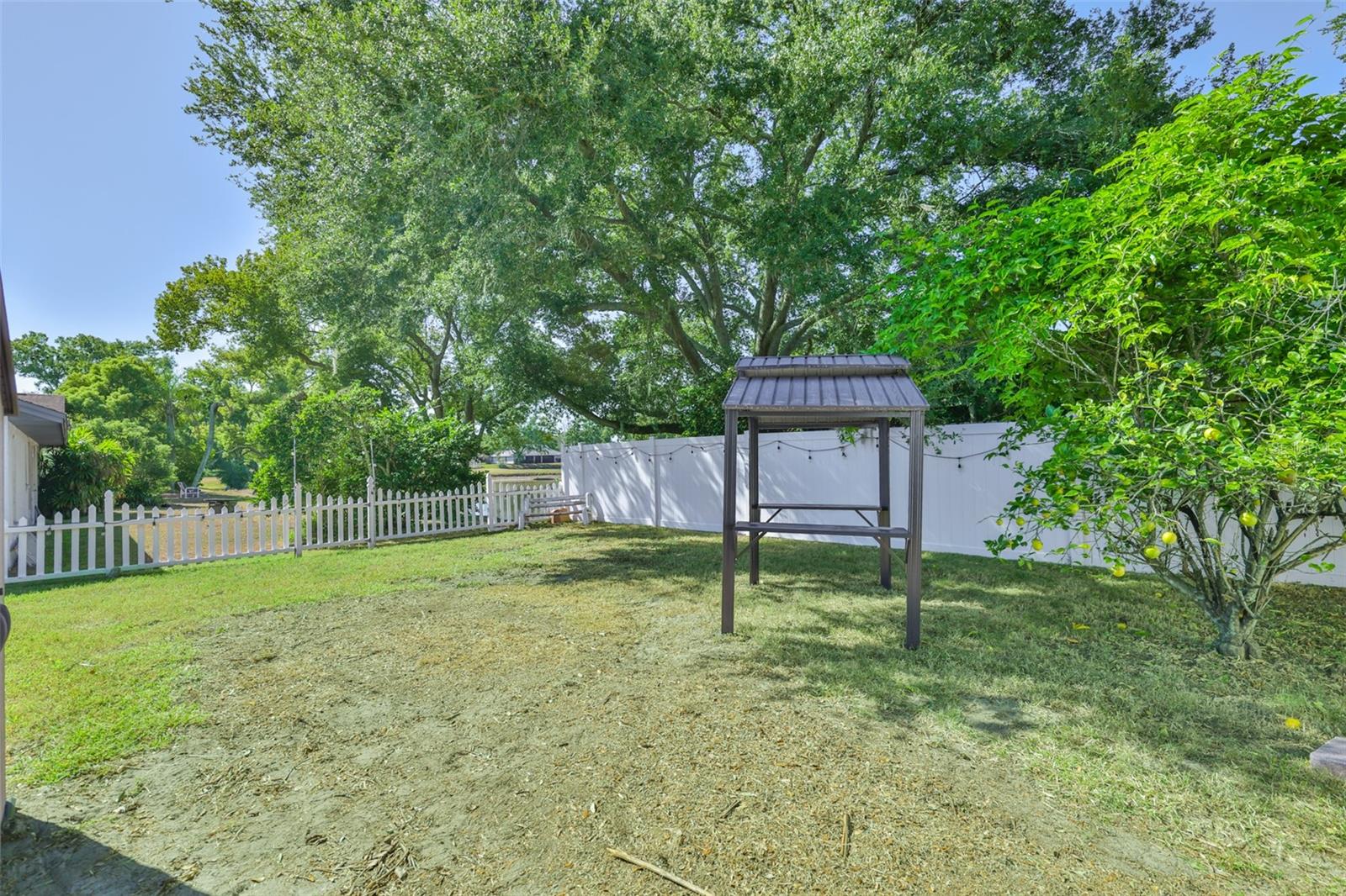 10331 ASHLEY OAKS DR, RIVERVIEW, FL, 33578