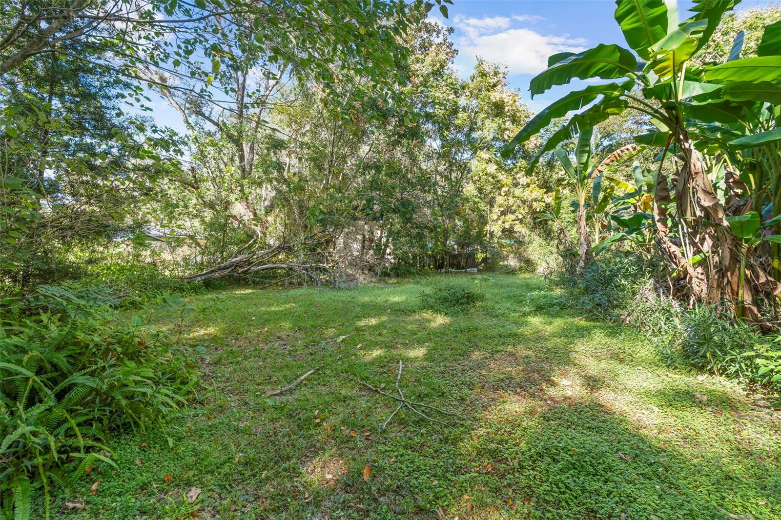 11668 SE 61ST AVE, BELLEVIEW, FL, 34420