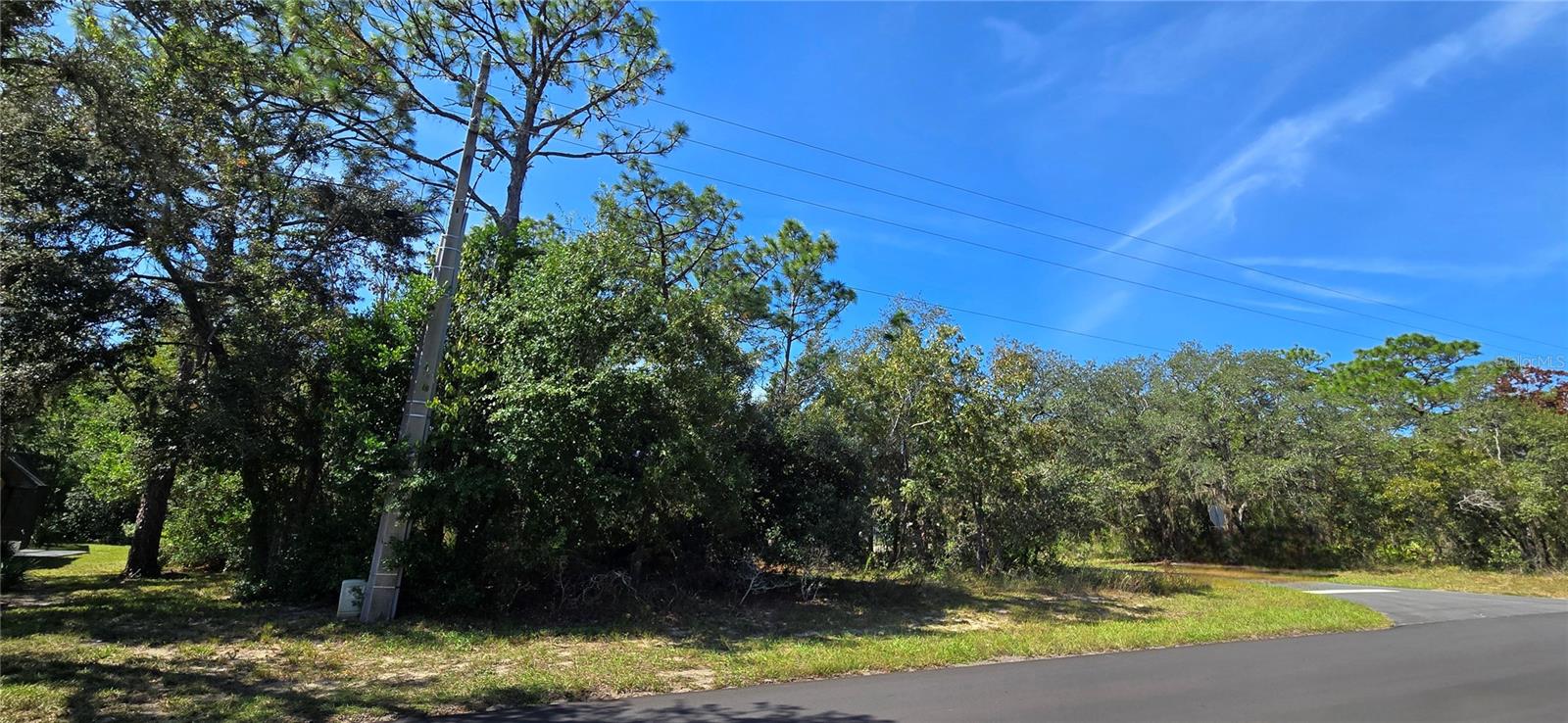 1 BUCKEYE CT, HOMOSASSA, FL, 34446