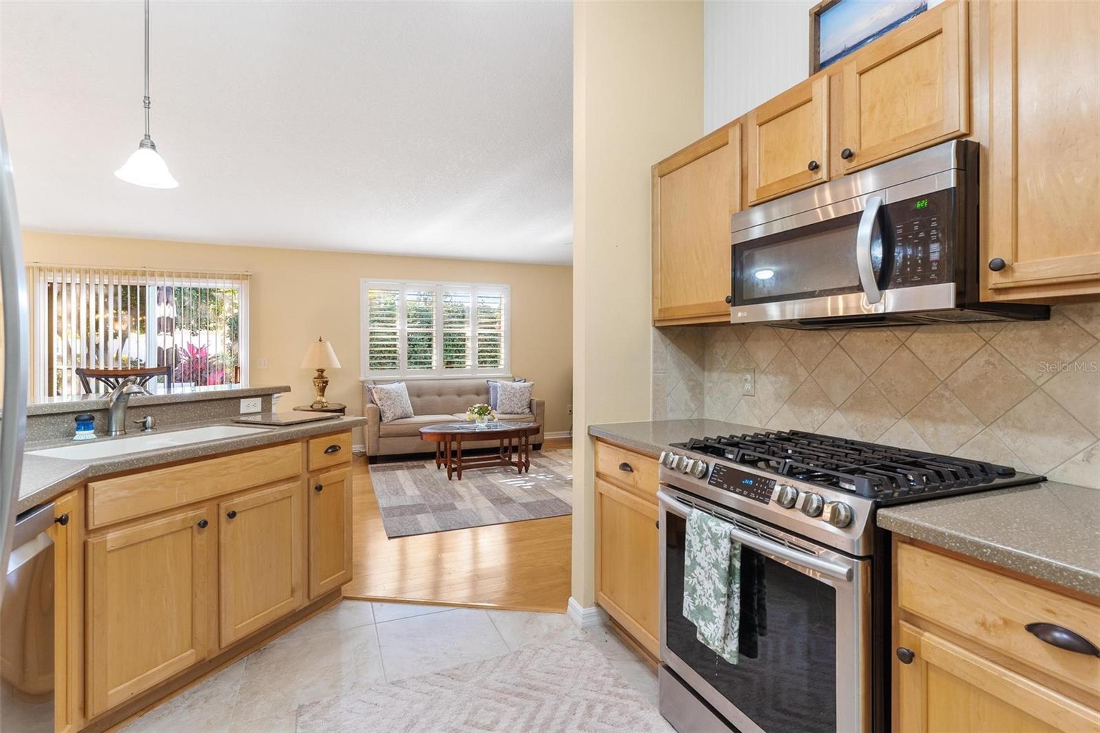 2670 SUFFOLK ST, THE VILLAGES, FL, 32162