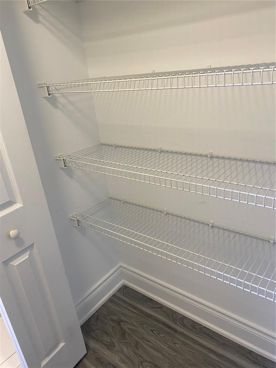 20406 NEEDLETREE DR #29406, TAMPA, FL, 33647