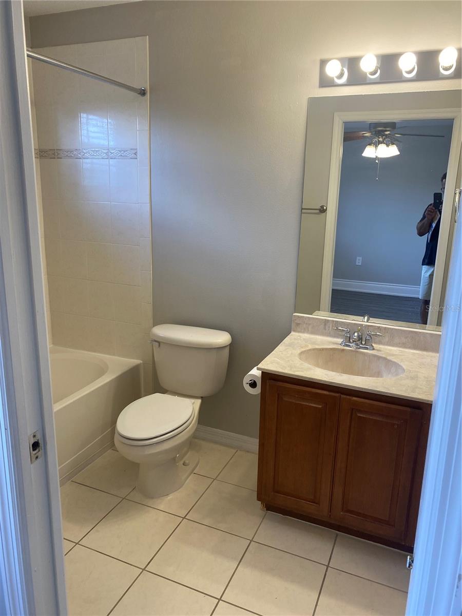 20406 NEEDLETREE DR #29406, TAMPA, FL, 33647