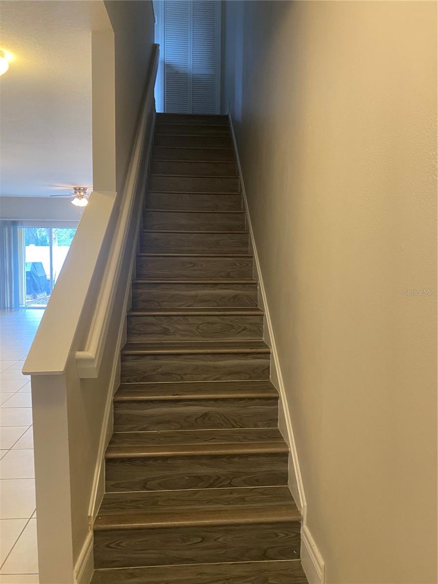 20406 NEEDLETREE DR #29406, TAMPA, FL, 33647