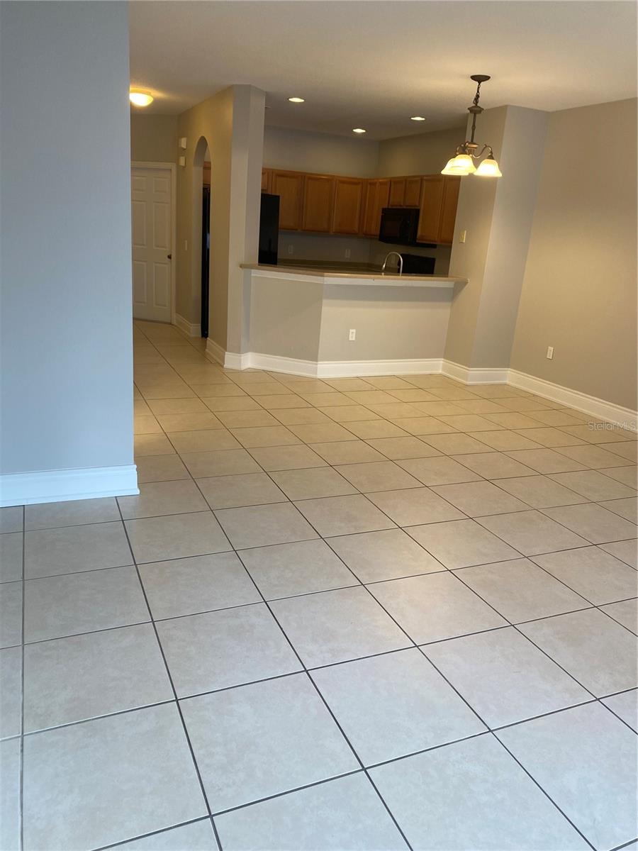 20406 NEEDLETREE DR #29406, TAMPA, FL, 33647