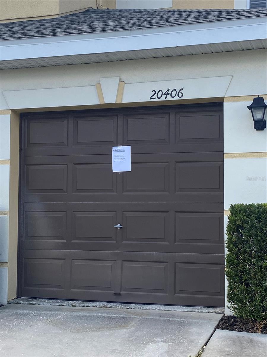 20406 NEEDLETREE DR #29406, TAMPA, FL, 33647