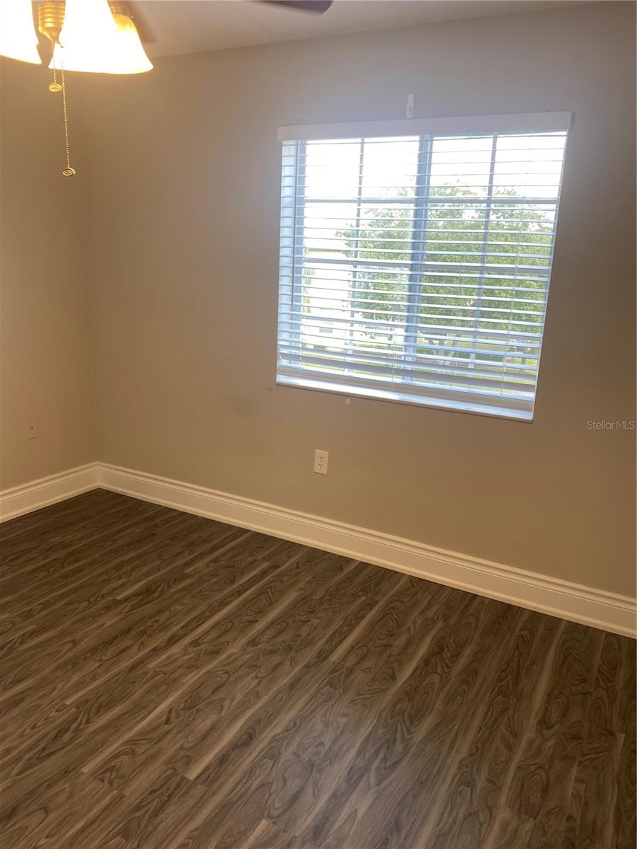 20406 NEEDLETREE DR #29406, TAMPA, FL, 33647