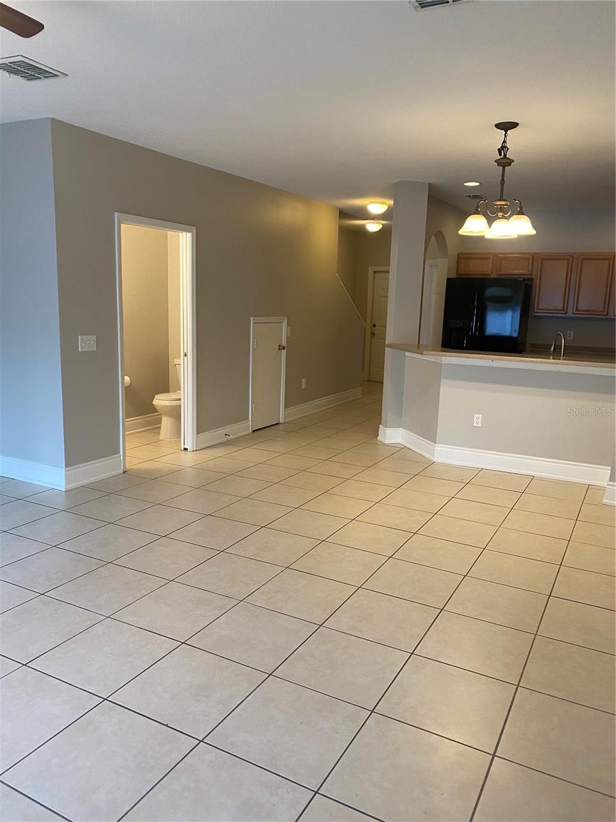 20406 NEEDLETREE DR #29406, TAMPA, FL, 33647