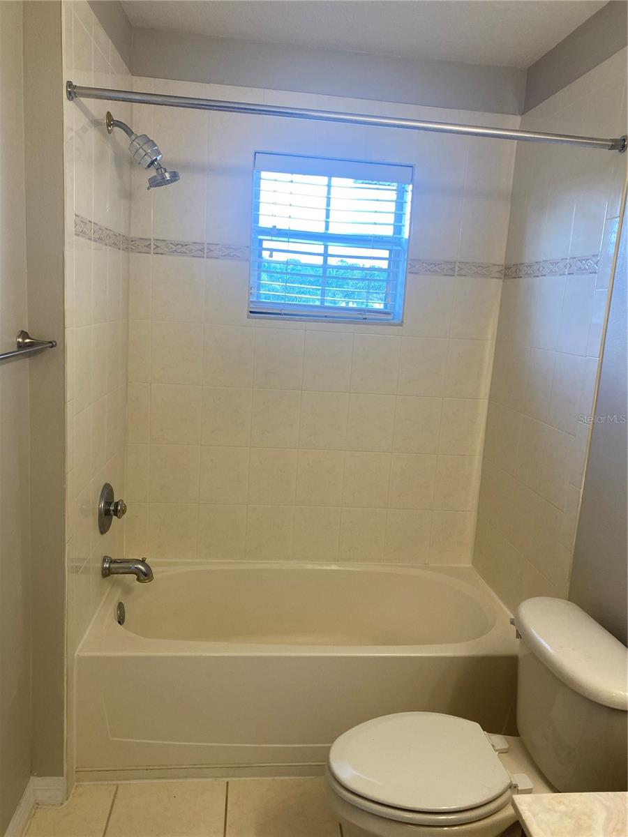 20406 NEEDLETREE DR #29406, TAMPA, FL, 33647