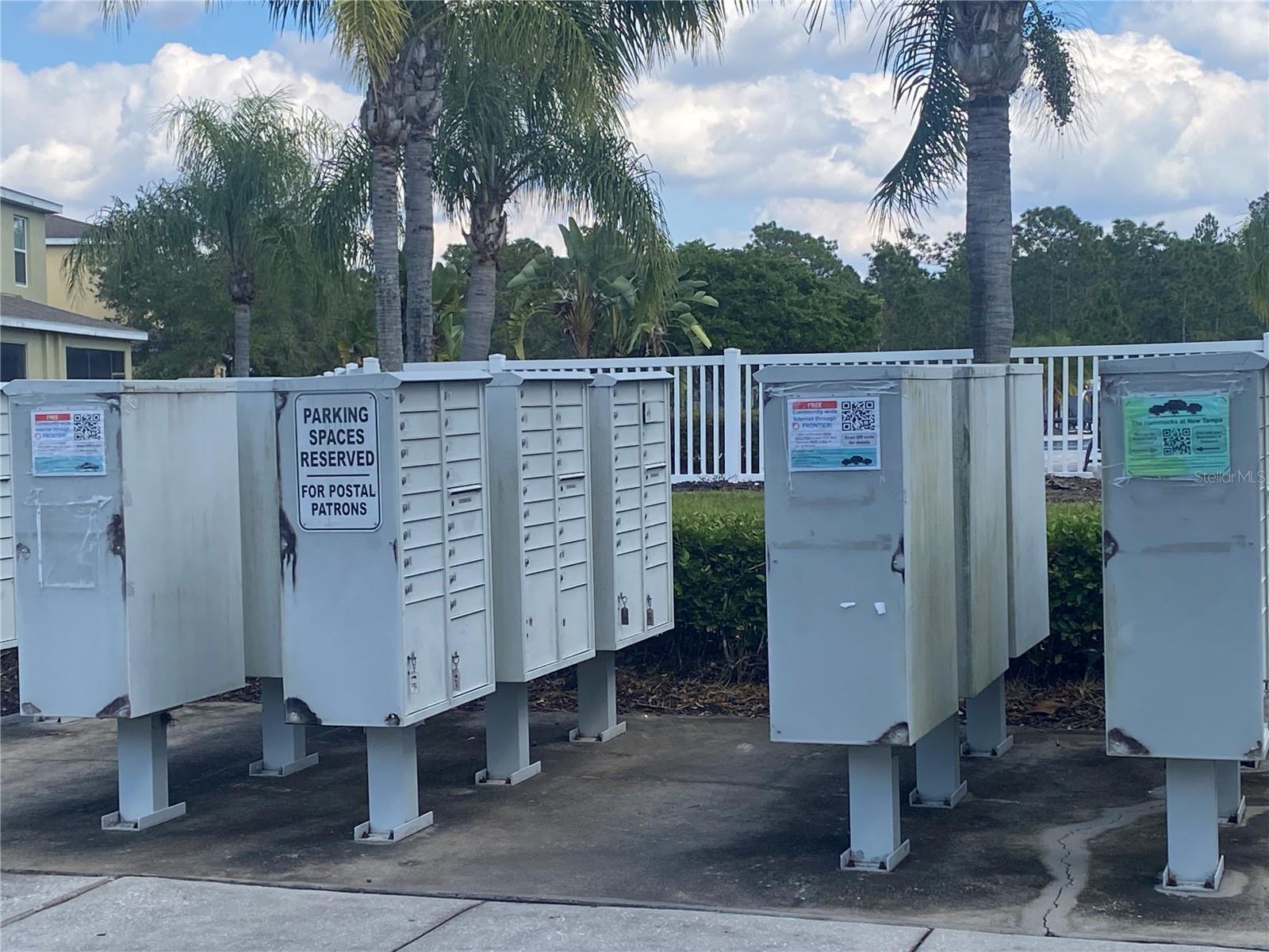 20406 NEEDLETREE DR #29406, TAMPA, FL, 33647