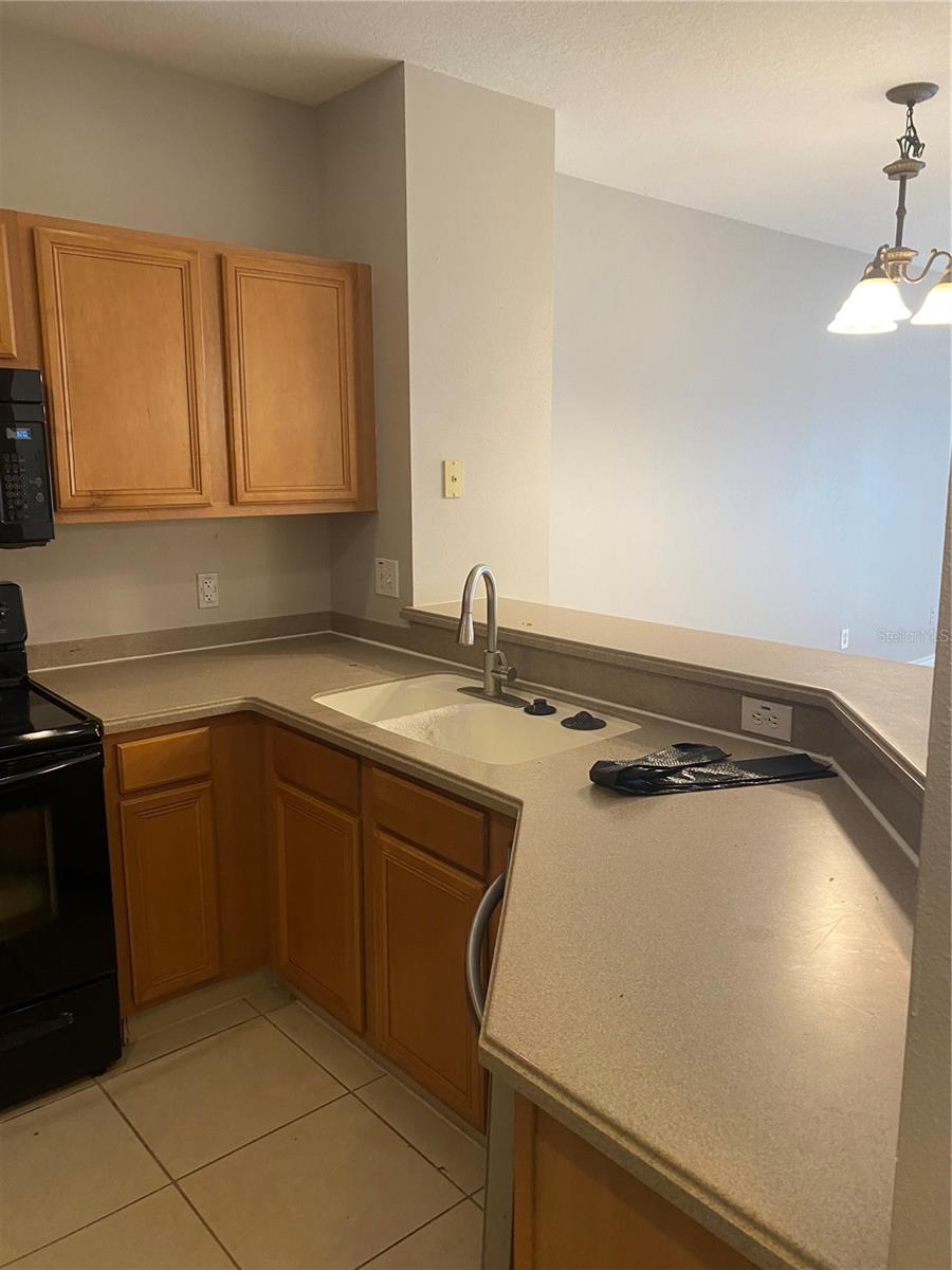 20406 NEEDLETREE DR #29406, TAMPA, FL, 33647