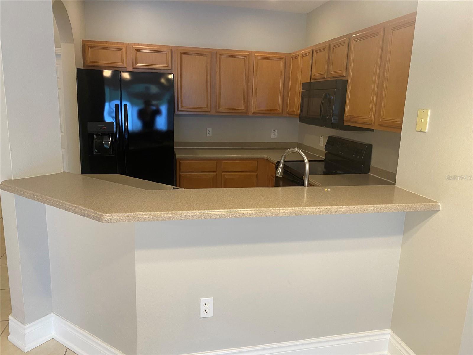 20406 NEEDLETREE DR #29406, TAMPA, FL, 33647