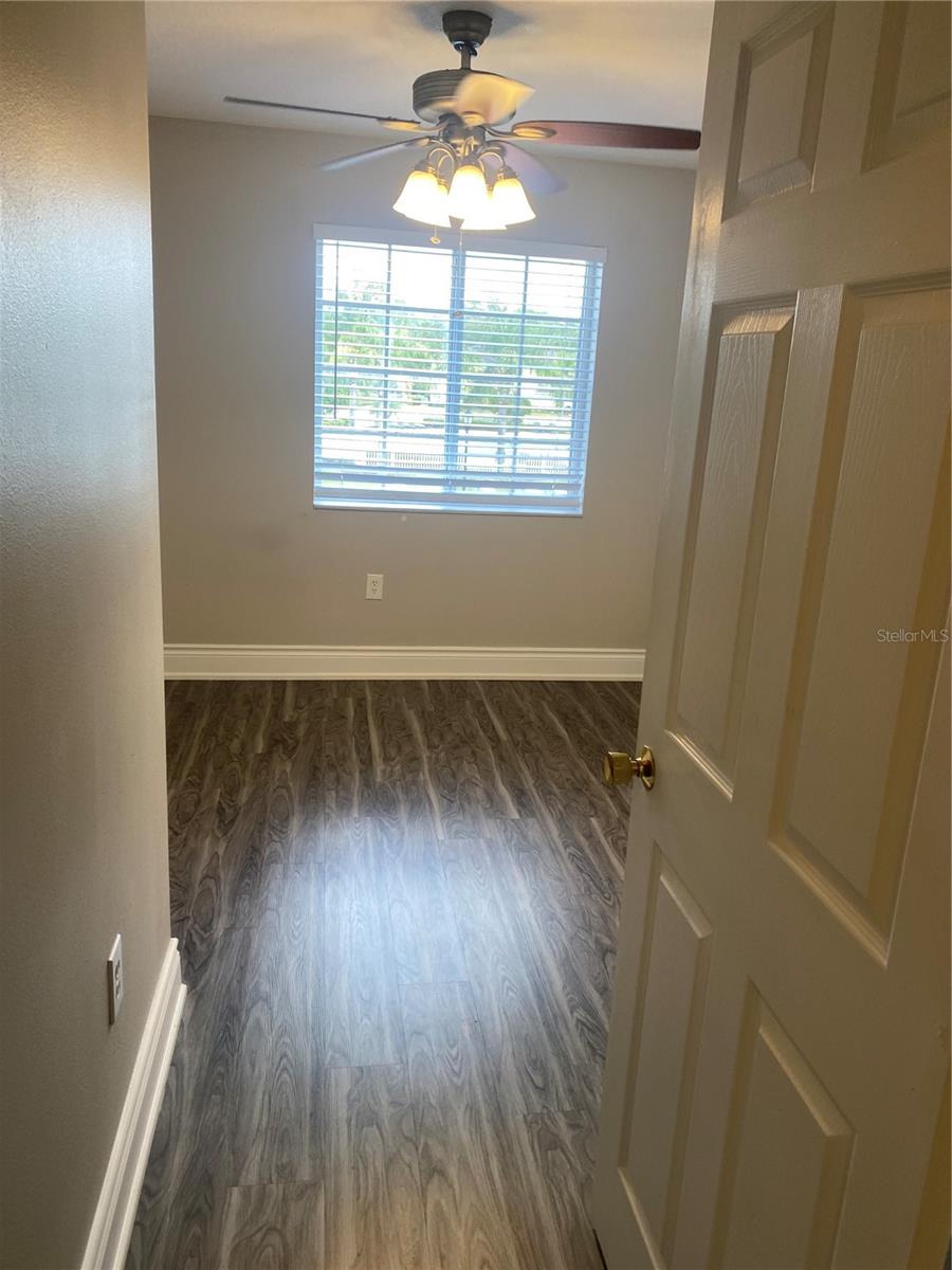 20406 NEEDLETREE DR #29406, TAMPA, FL, 33647