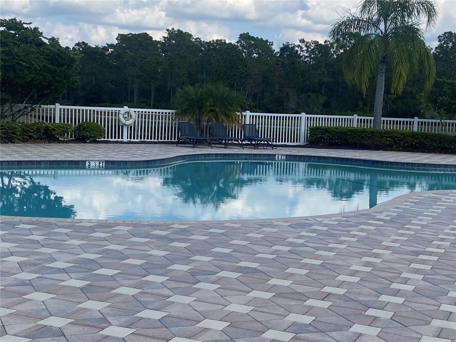 20406 NEEDLETREE DR #29406, TAMPA, FL, 33647