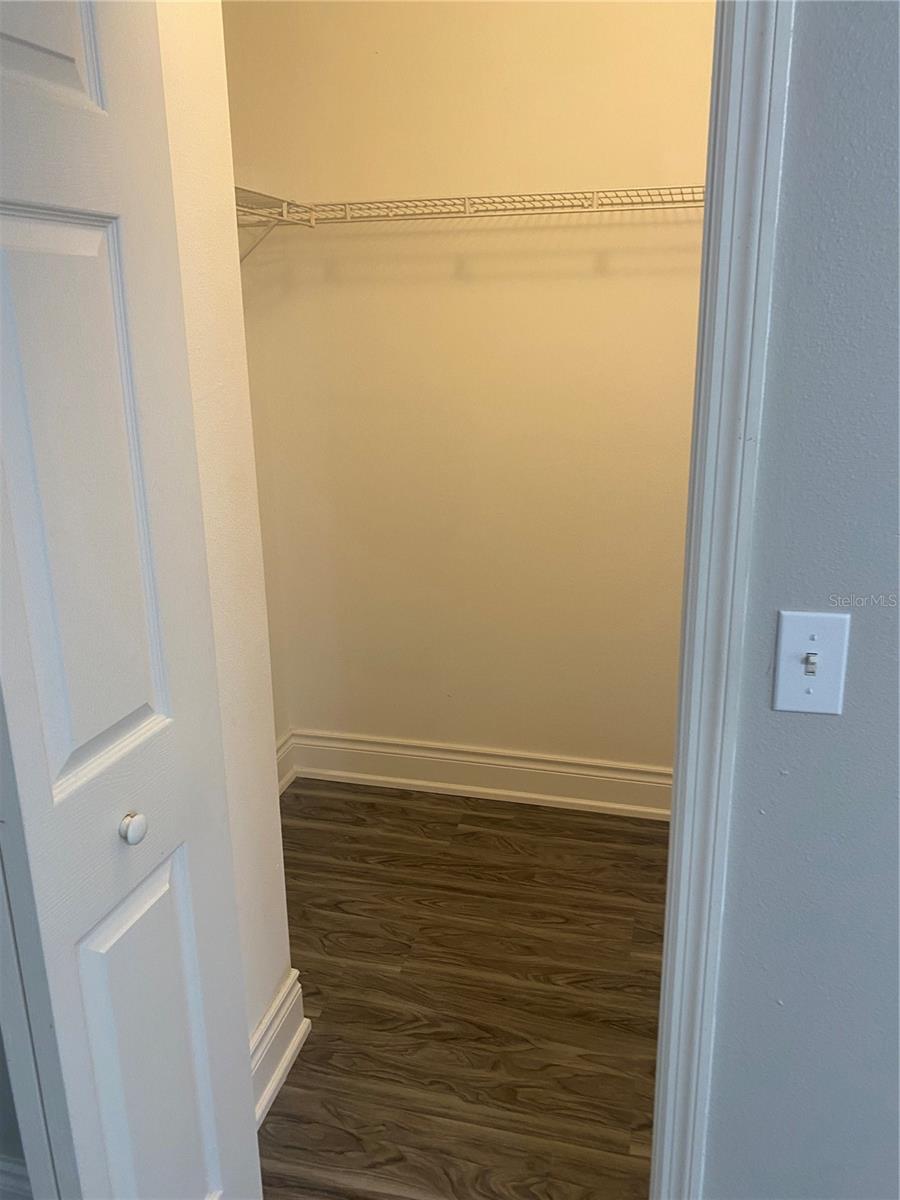 20406 NEEDLETREE DR #29406, TAMPA, FL, 33647