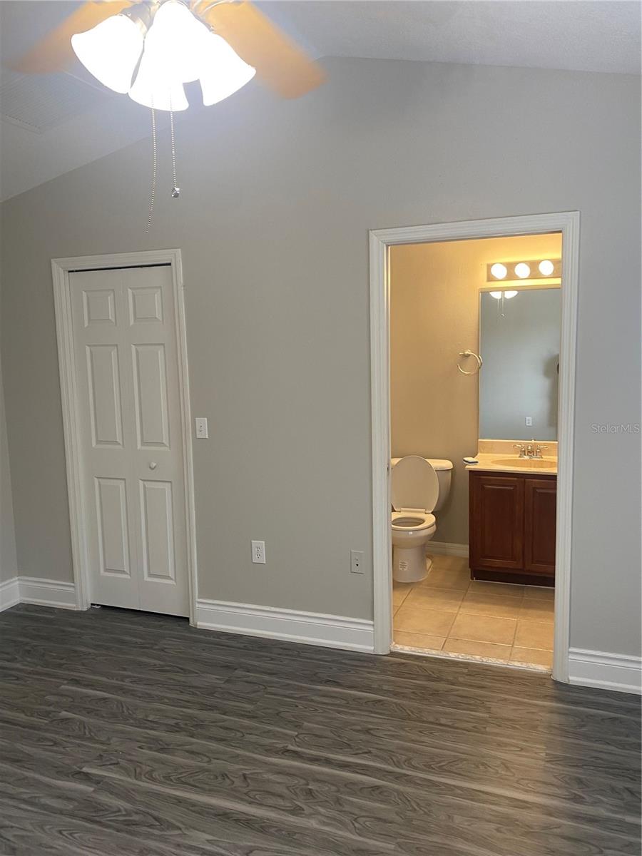 20406 NEEDLETREE DR #29406, TAMPA, FL, 33647