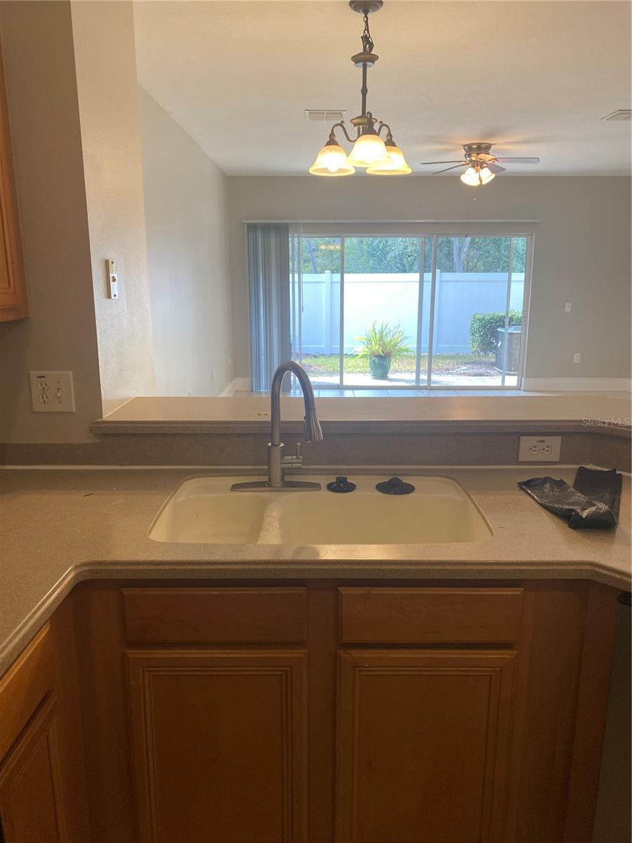 20406 NEEDLETREE DR #29406, TAMPA, FL, 33647