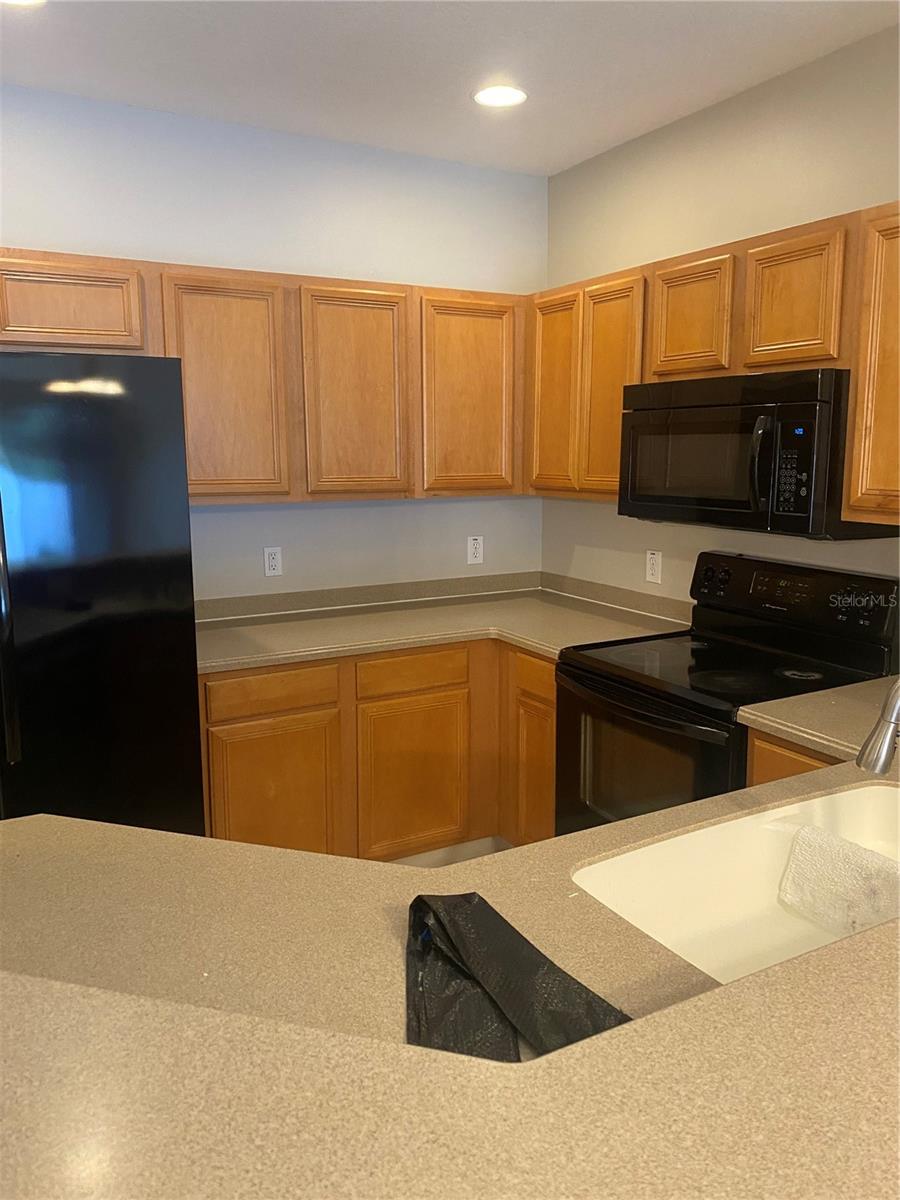 20406 NEEDLETREE DR #29406, TAMPA, FL, 33647