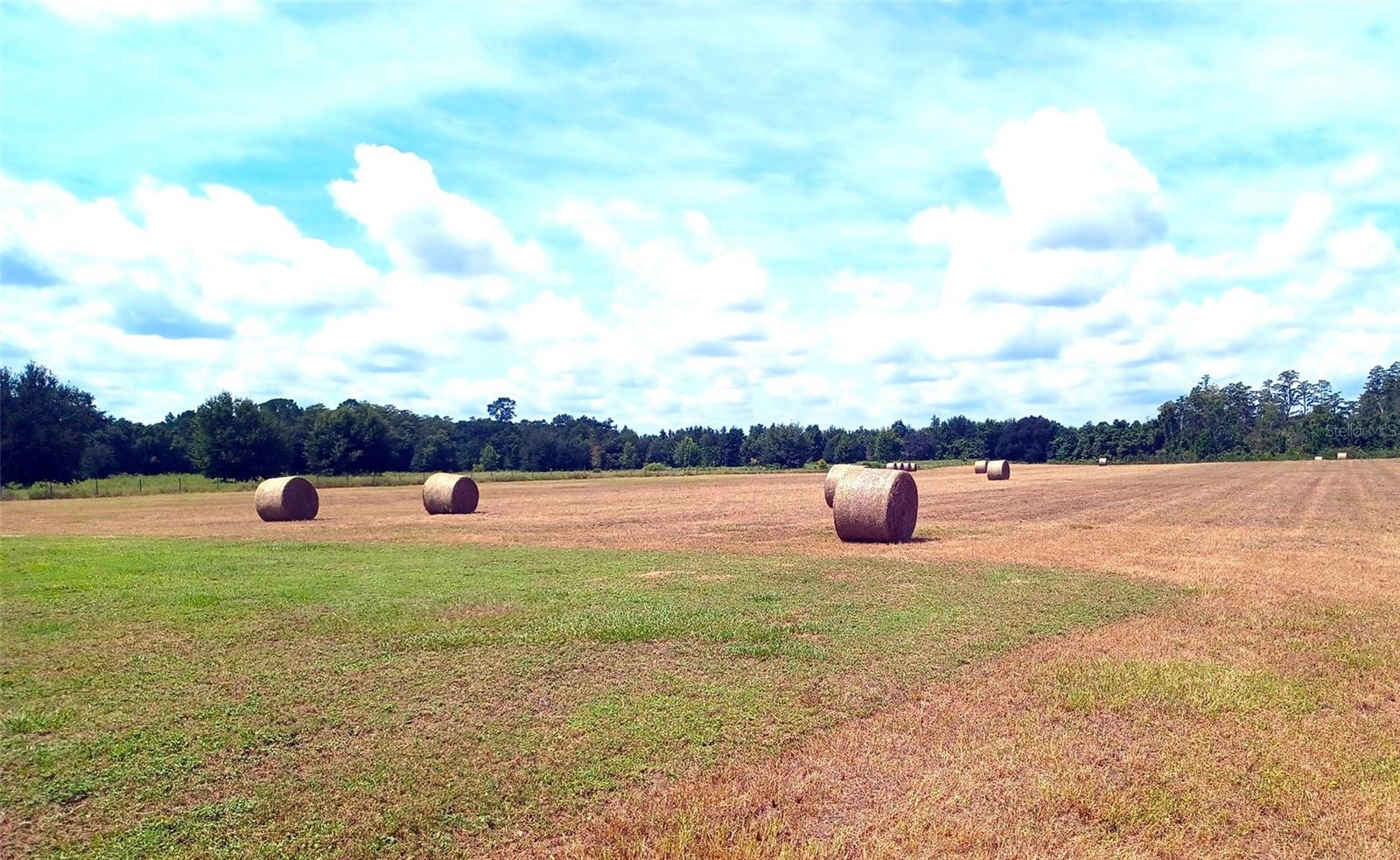 13832 BAY LAKE RD, GROVELAND, FL, 34736