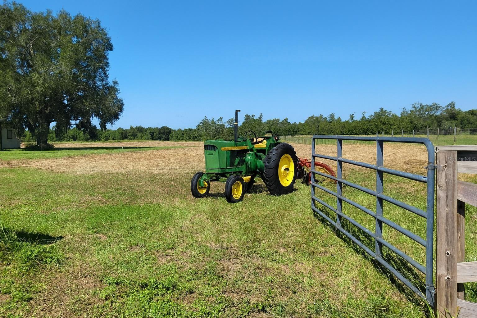 13832 BAY LAKE RD, GROVELAND, FL, 34736