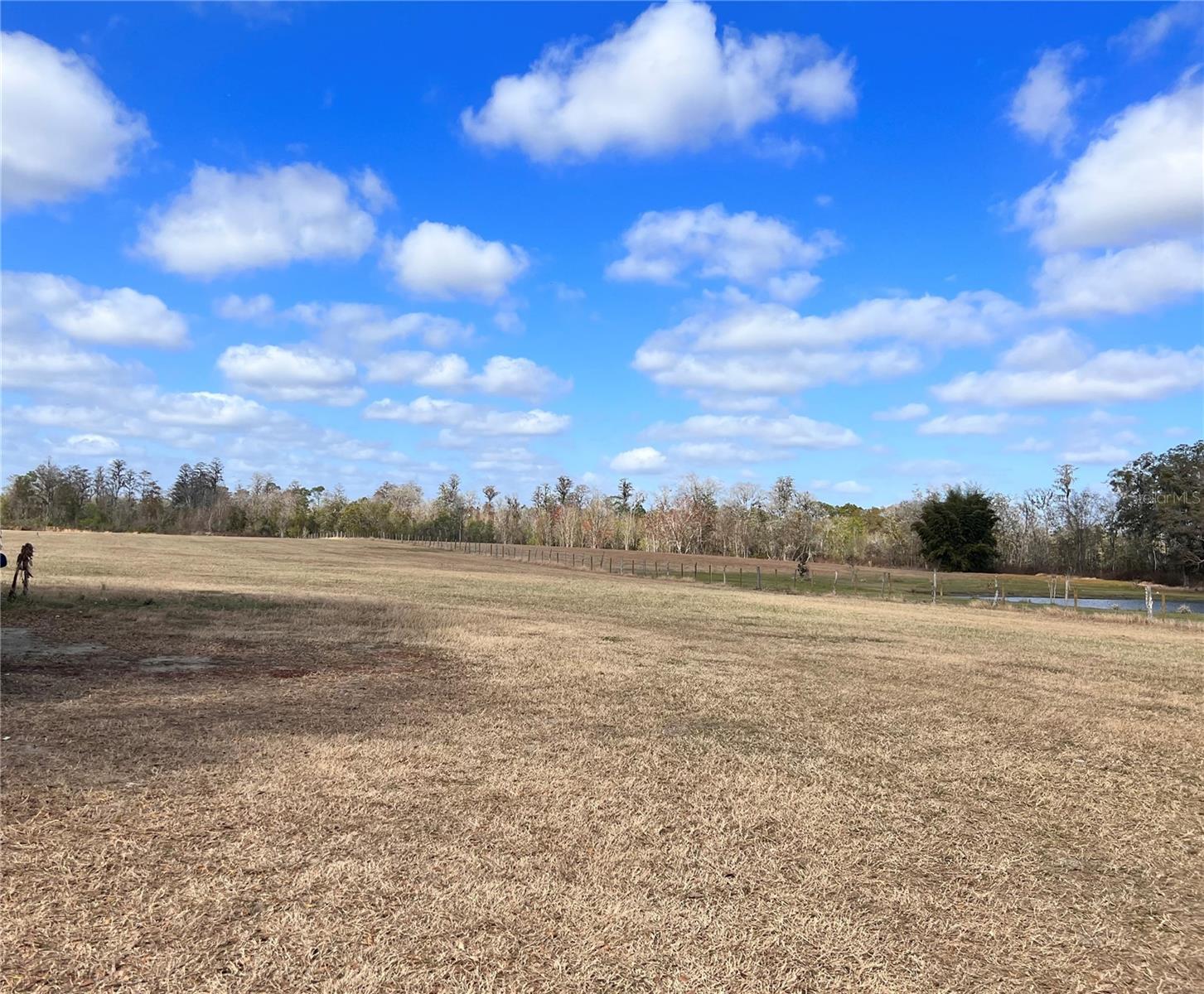 13832 BAY LAKE RD, GROVELAND, FL, 34736