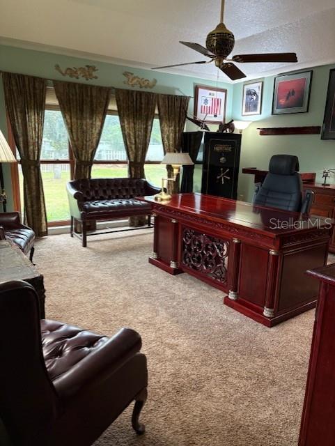 14206 MELOUGA PRESERVE TRL, DOVER, FL, 33527