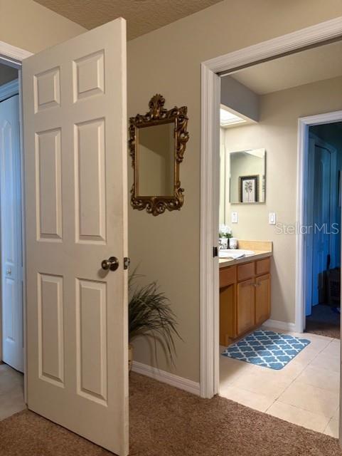 14206 MELOUGA PRESERVE TRL, DOVER, FL, 33527