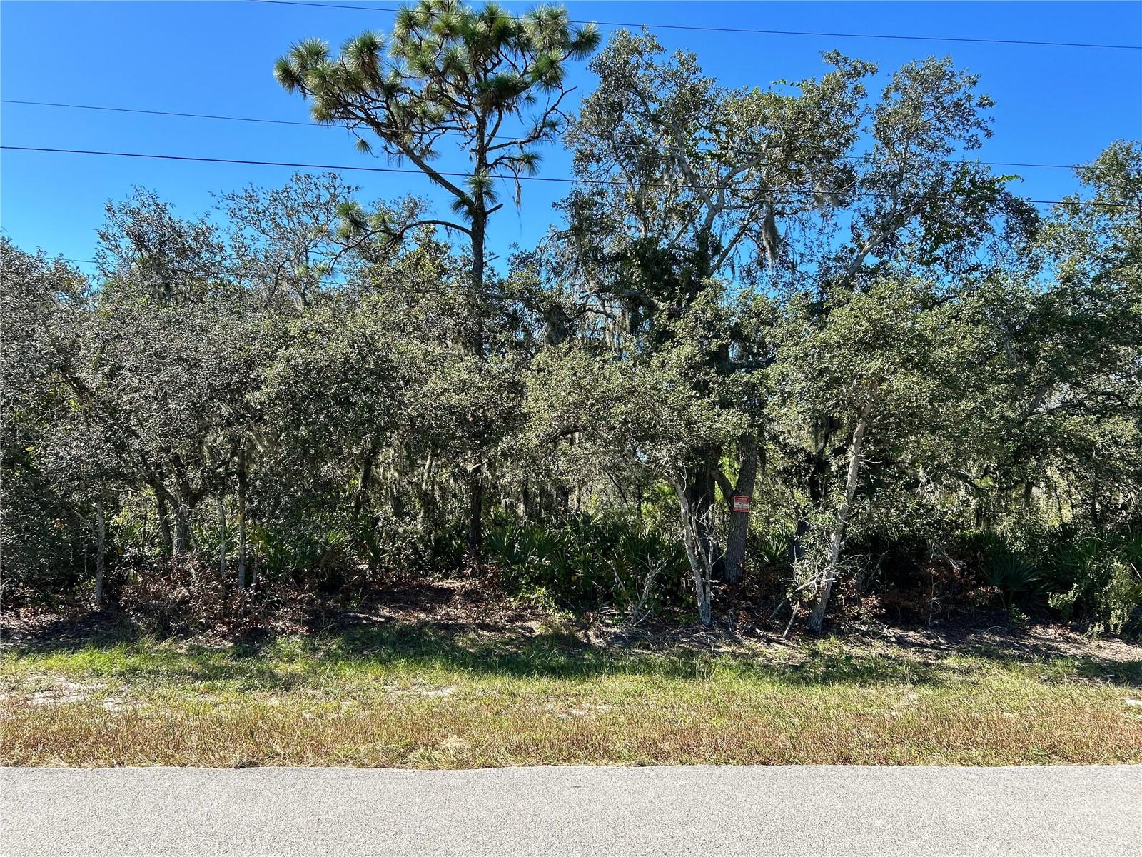 WOODSTORK WAY, FROSTPROOF, FL, 33843