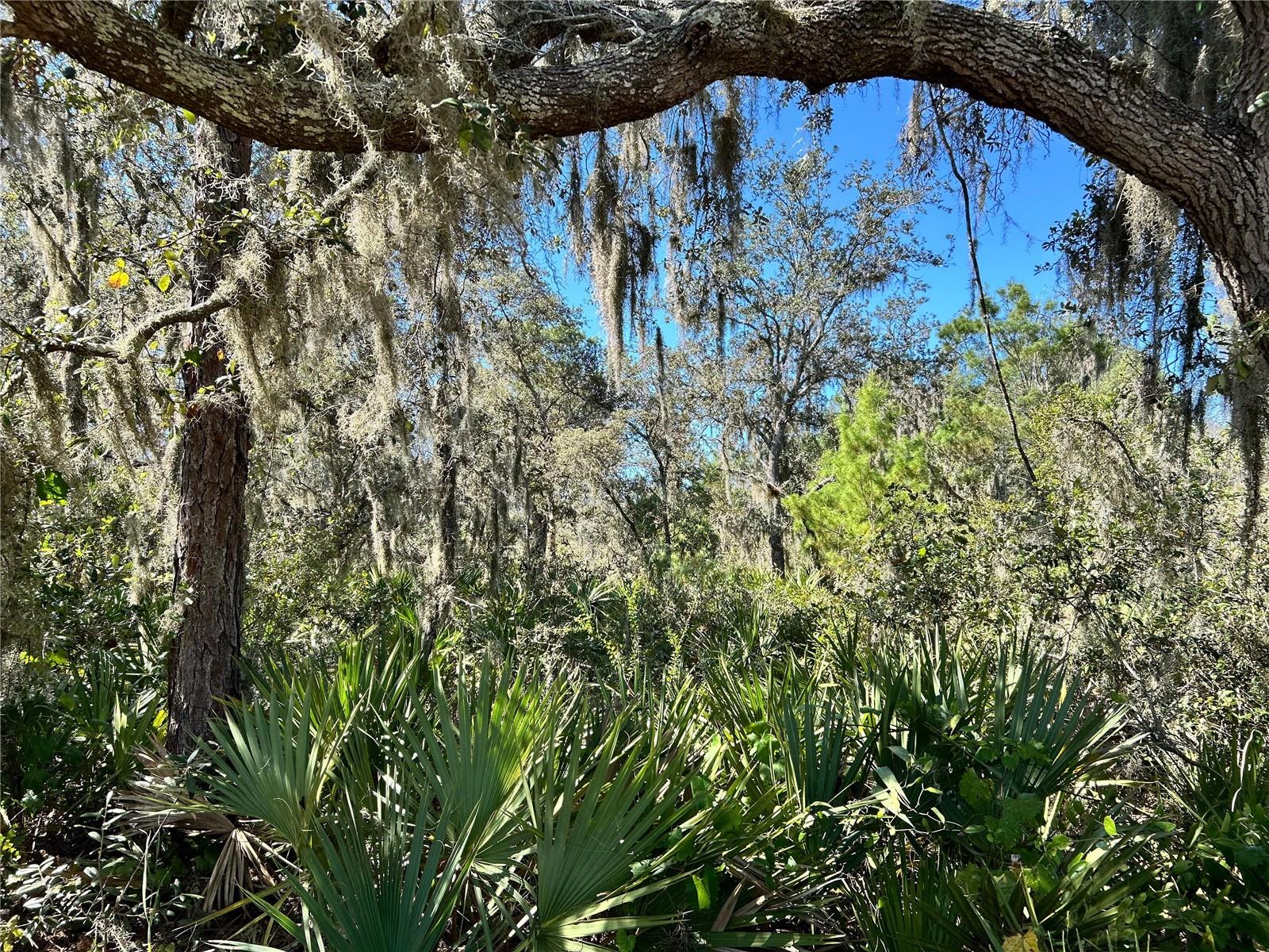 WOODSTORK WAY, FROSTPROOF, FL, 33843