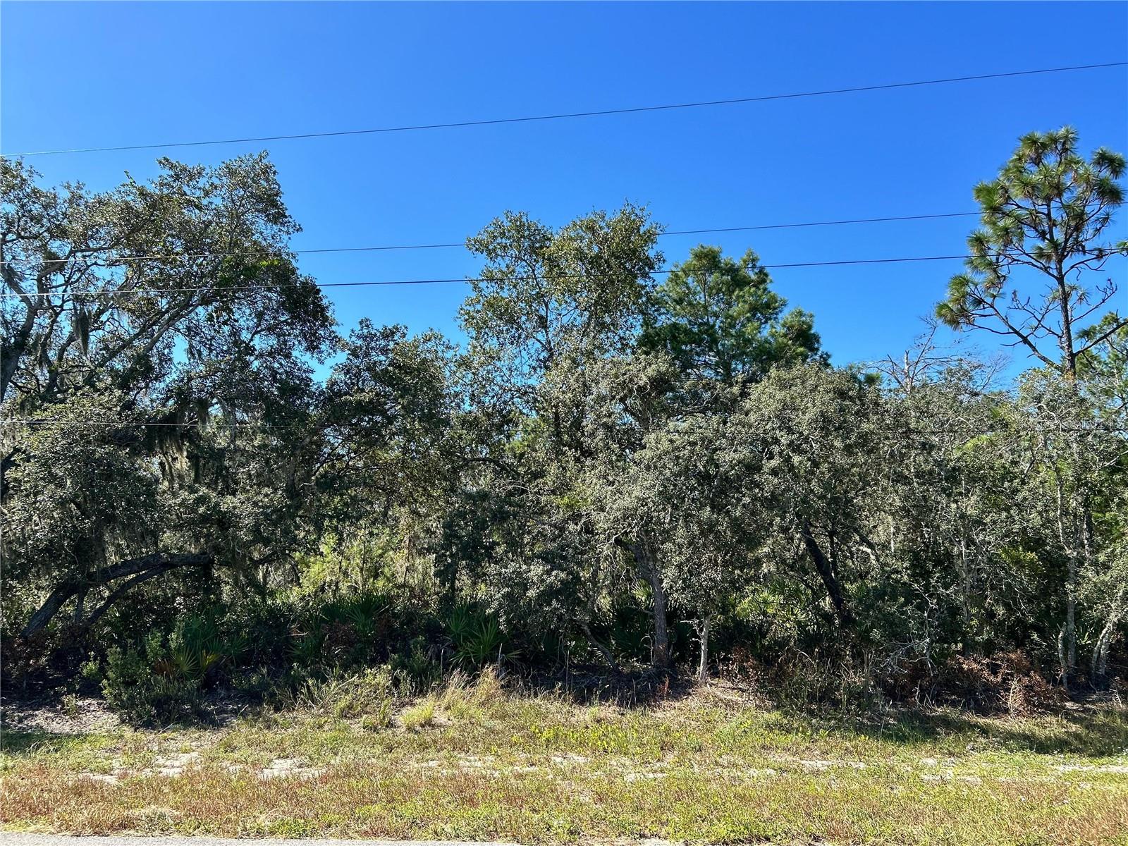 WOODSTORK WAY, FROSTPROOF, FL, 33843