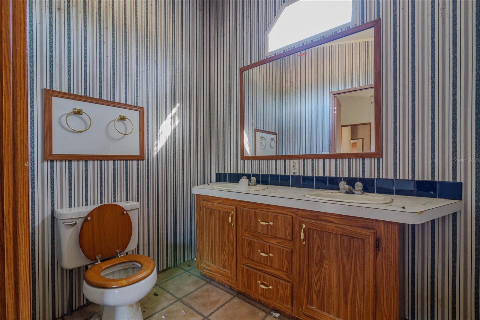 16862 SW 60TH PL, OCALA, FL, 34481