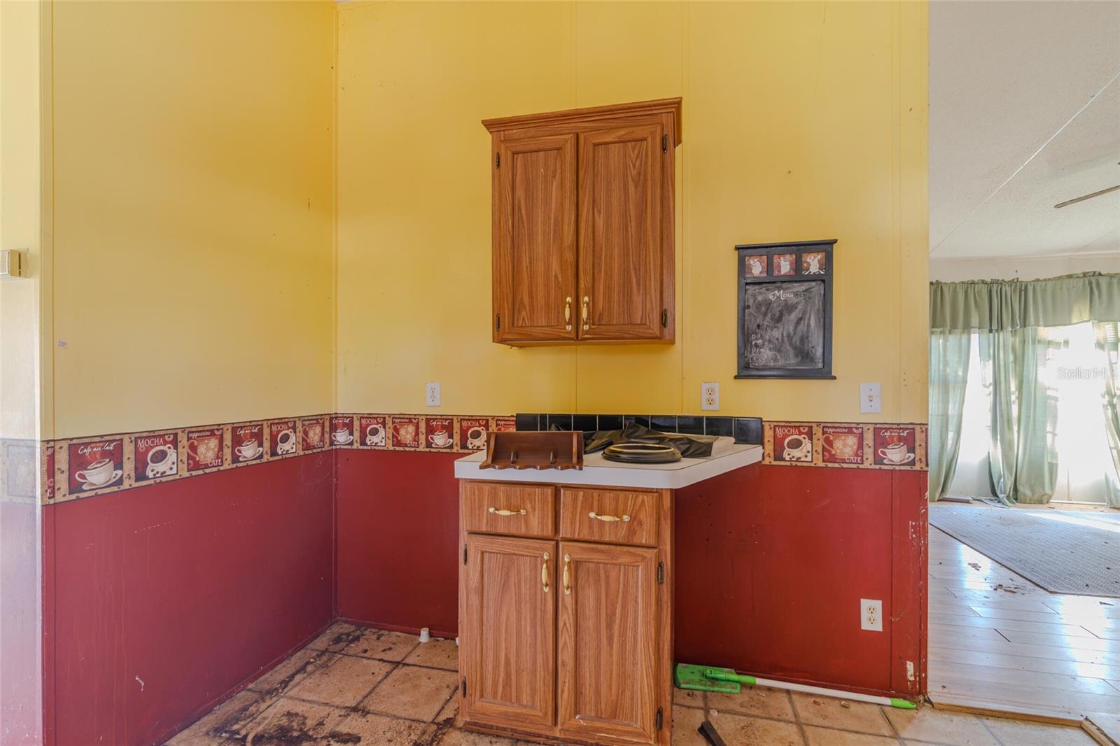 16862 SW 60TH PL, OCALA, FL, 34481