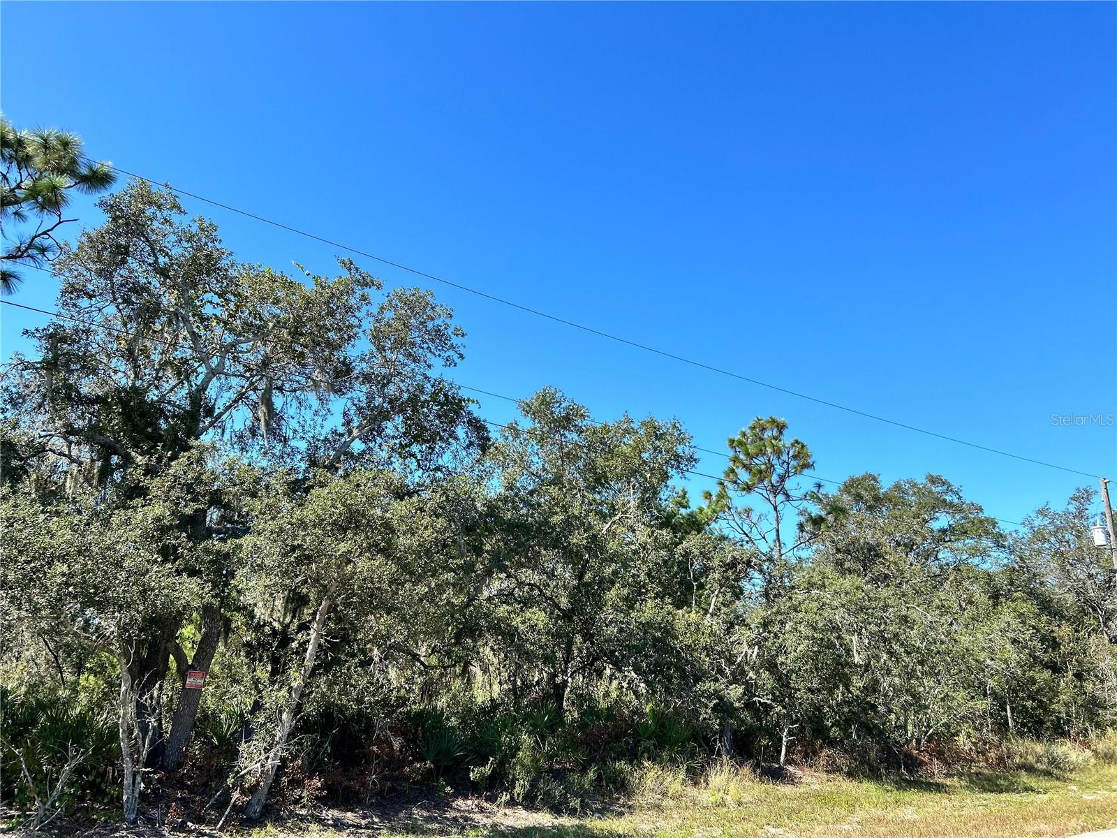 WOODSTORK WAY, FROSTPROOF, FL, 33843