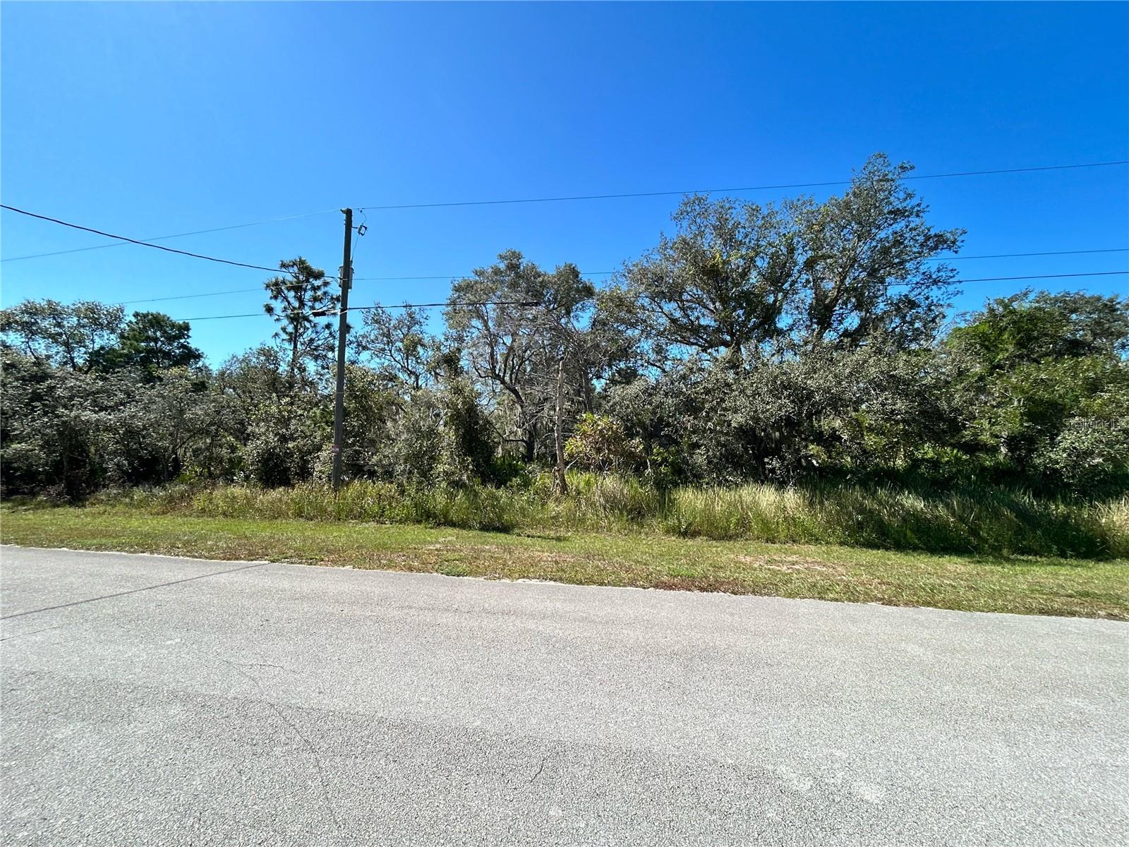 WOODSTORK WAY, FROSTPROOF, FL, 33843