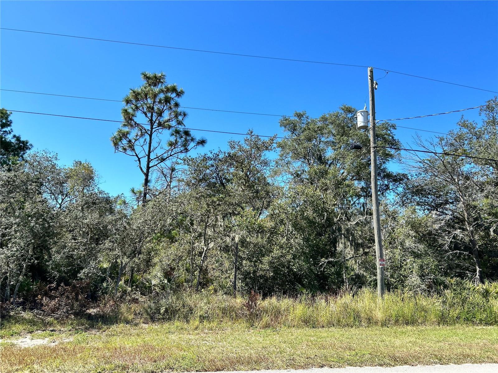 WOODSTORK WAY, FROSTPROOF, FL, 33843