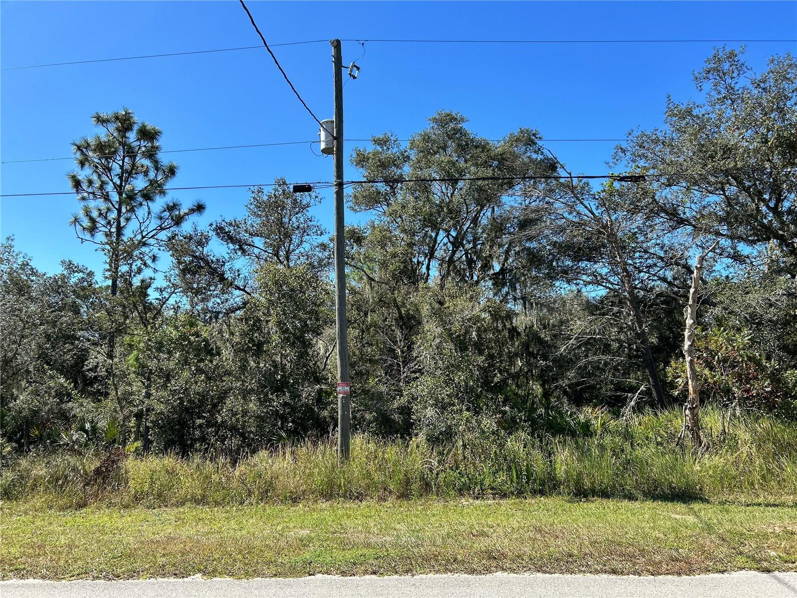 WOODSTORK WAY, FROSTPROOF, FL, 33843