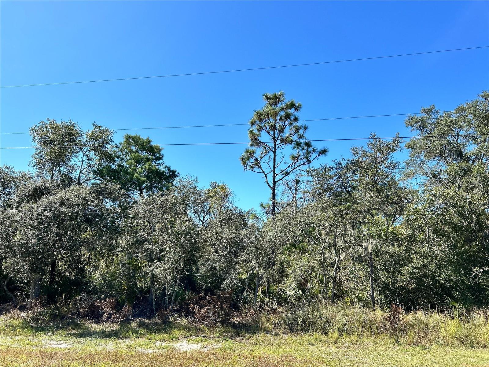 WOODSTORK WAY, FROSTPROOF, FL, 33843