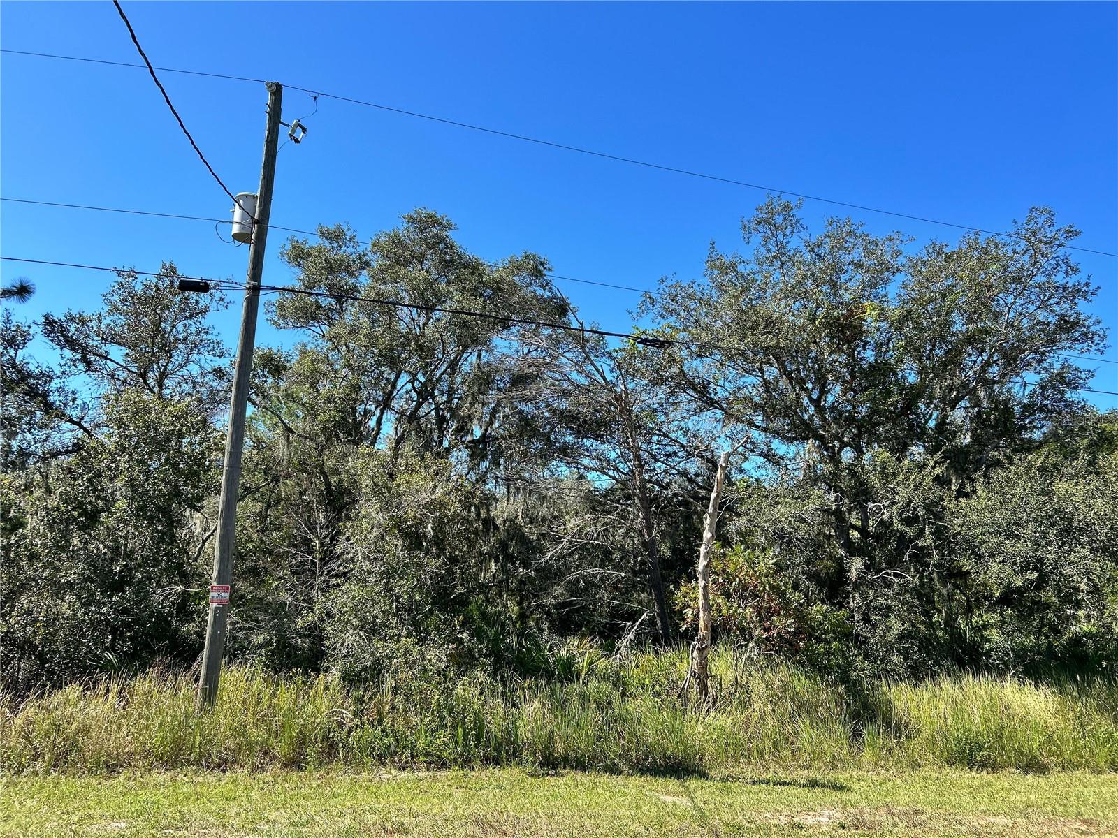 WOODSTORK WAY, FROSTPROOF, FL, 33843