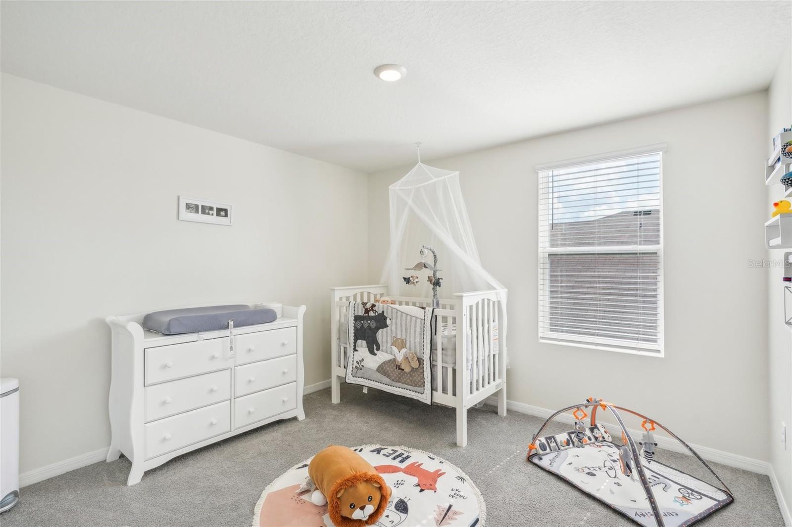 11637 SAW PALMETTO LN, RIVERVIEW, FL, 33569