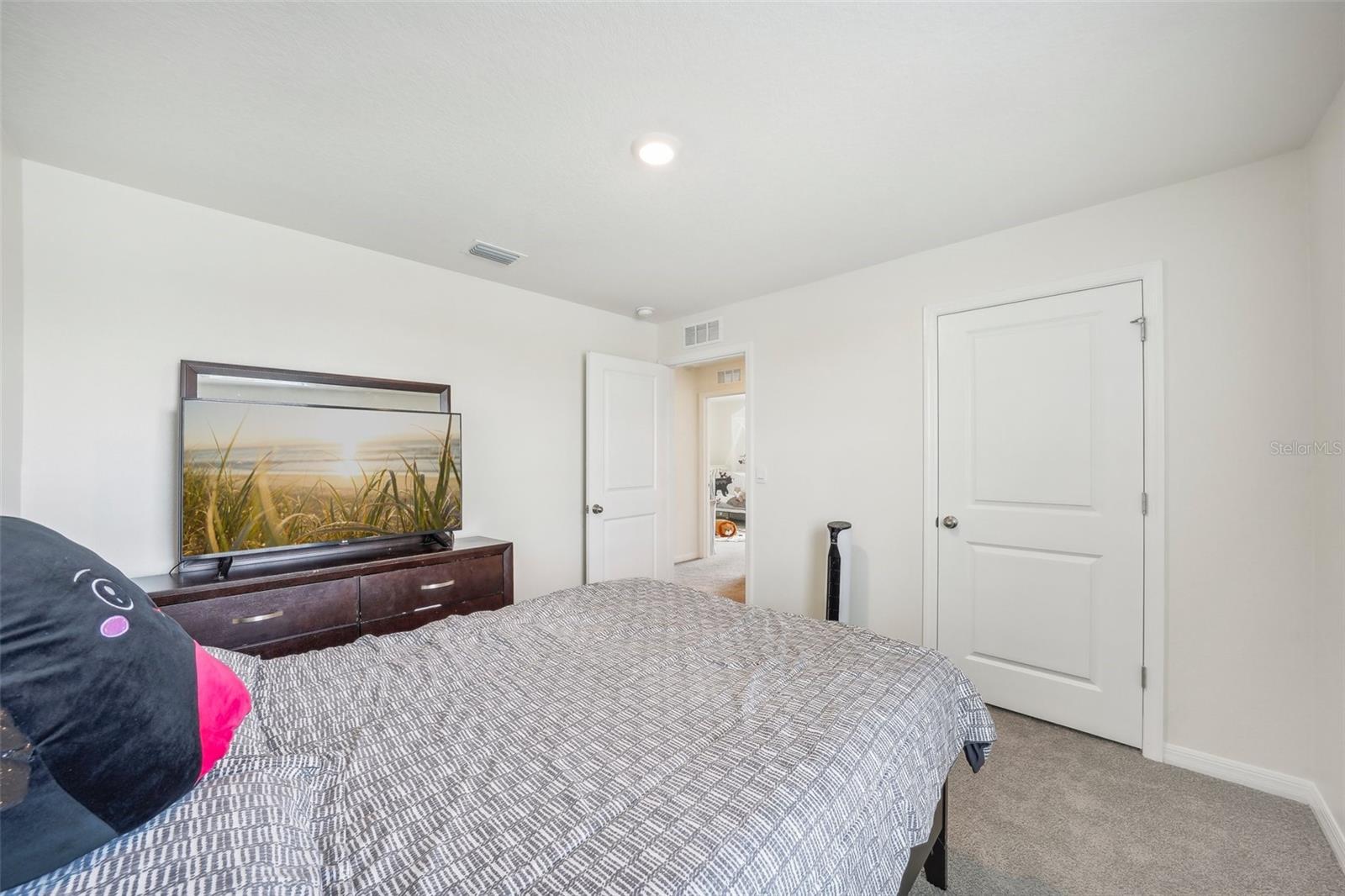 11637 SAW PALMETTO LN, RIVERVIEW, FL, 33569