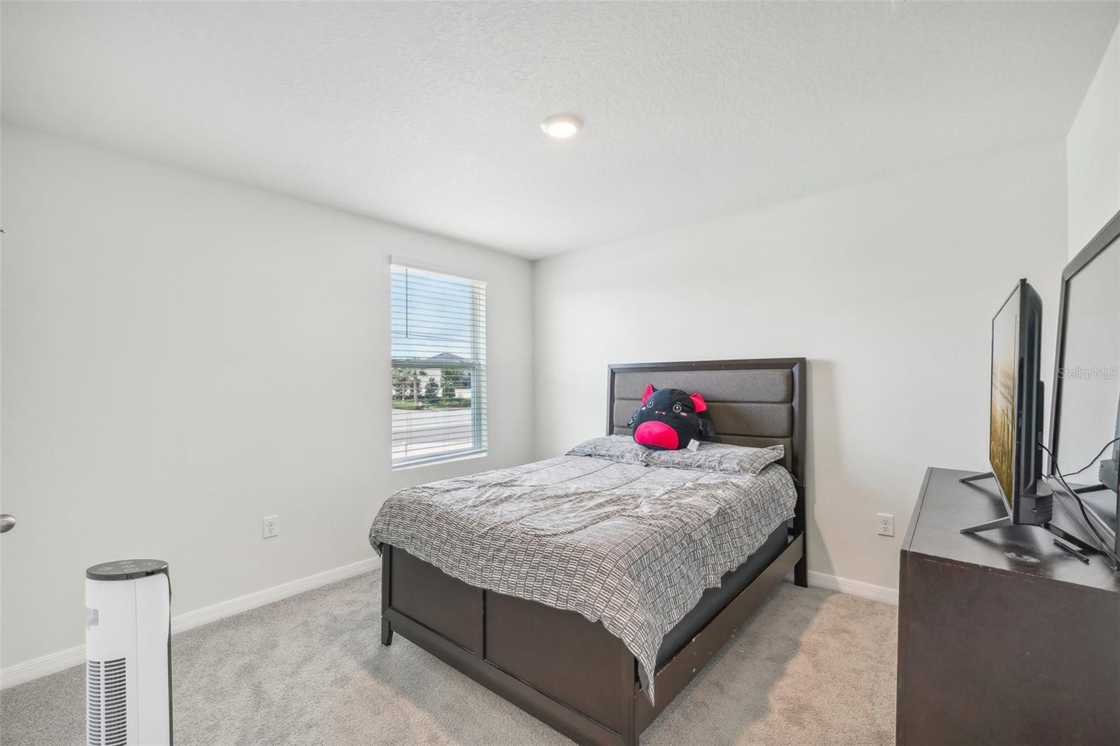 11637 SAW PALMETTO LN, RIVERVIEW, FL, 33569