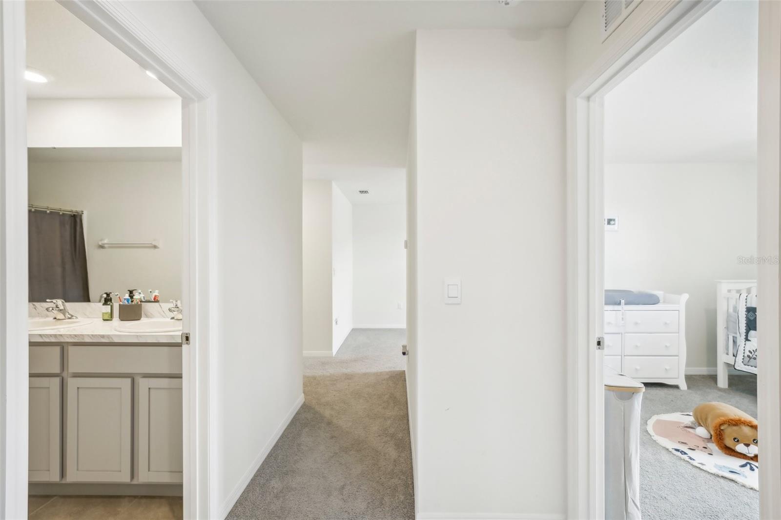 11637 SAW PALMETTO LN, RIVERVIEW, FL, 33569