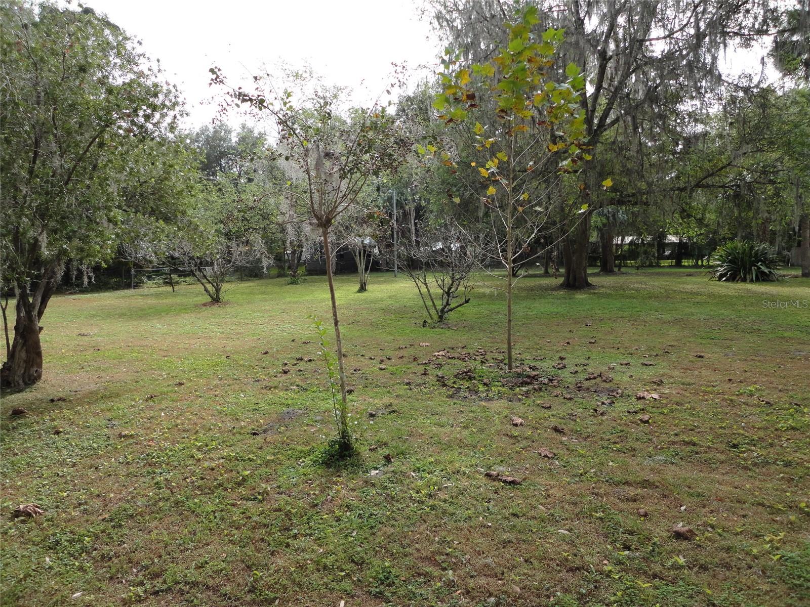 101 NW 3RD AVE, MICANOPY, FL, 32667