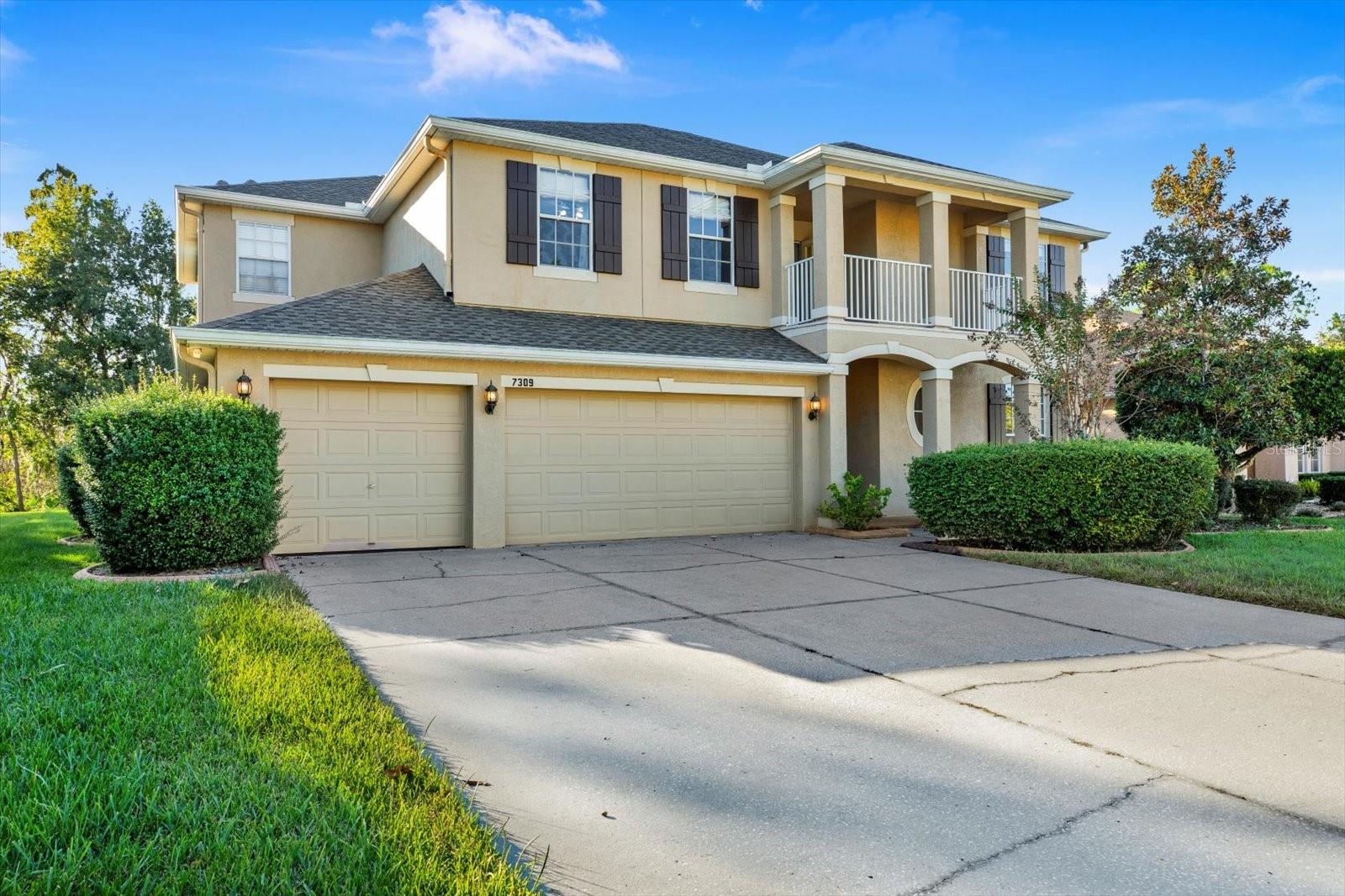 7309 NIGHT HERON DR, LAND O LAKES, FL, 34637