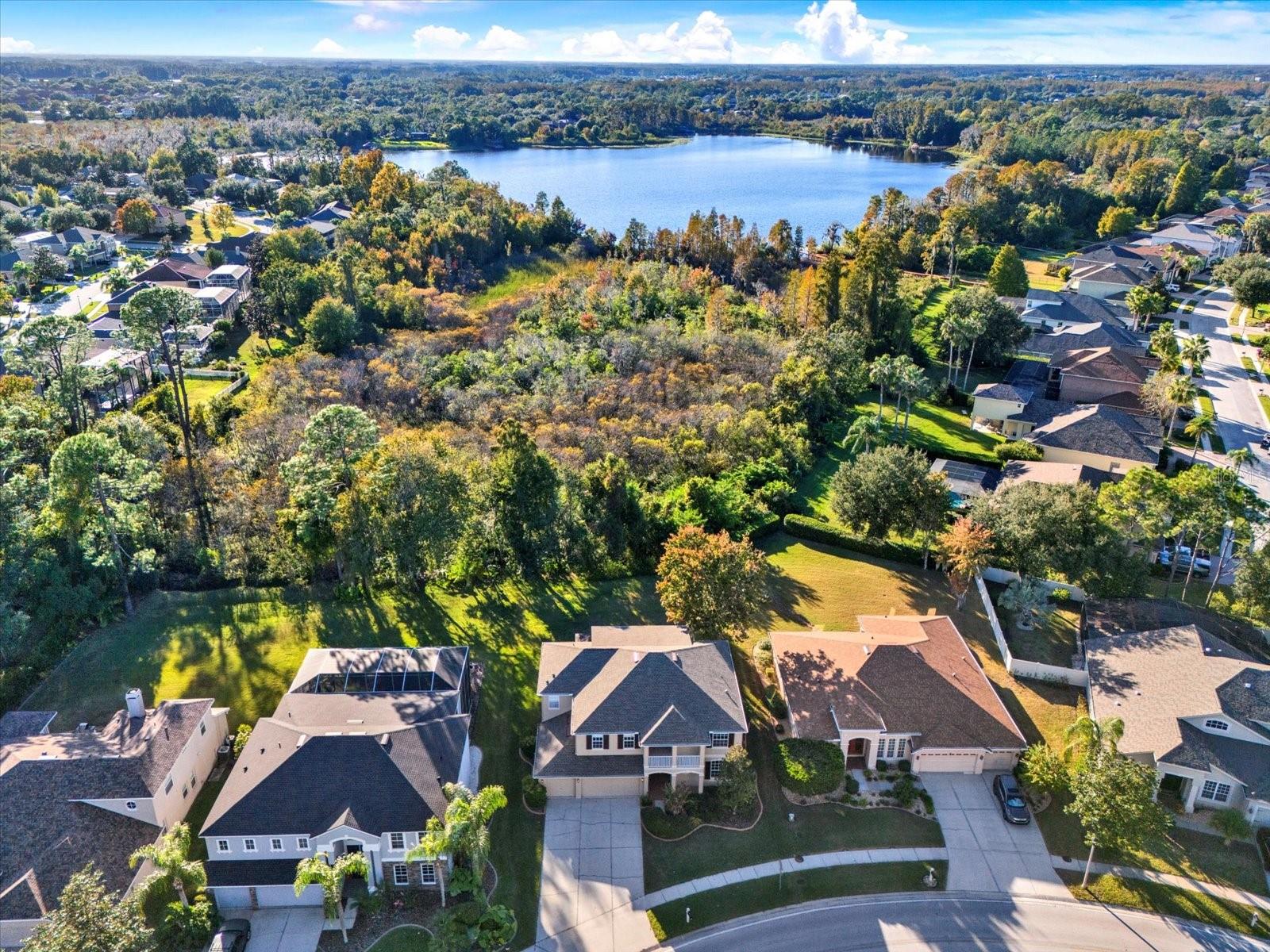 7309 NIGHT HERON DR, LAND O LAKES, FL, 34637