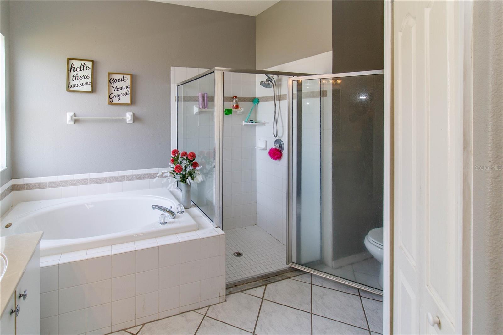 27211 LIRIOPE CT, WESLEY CHAPEL, FL, 33544