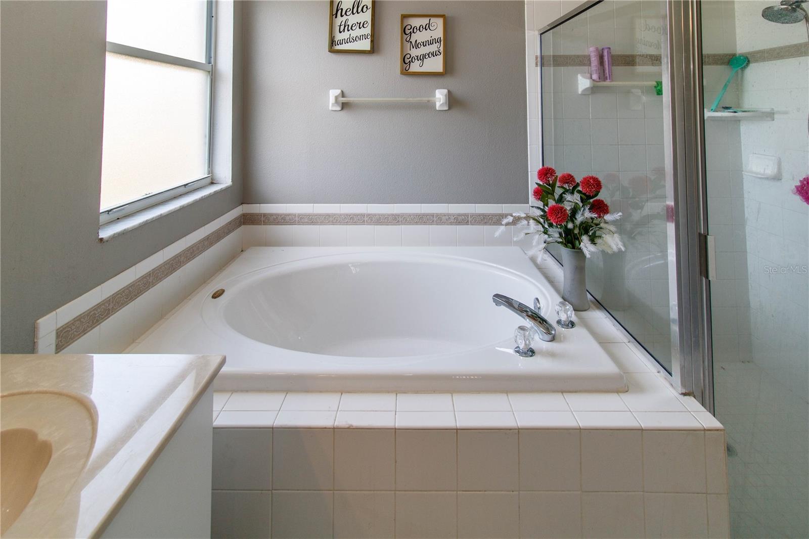 27211 LIRIOPE CT, WESLEY CHAPEL, FL, 33544