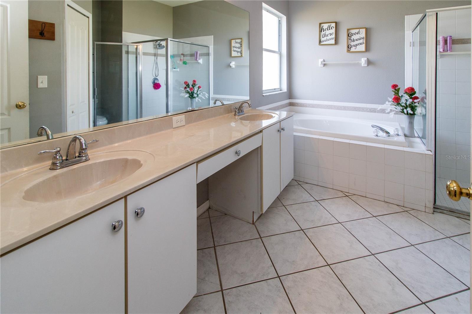 27211 LIRIOPE CT, WESLEY CHAPEL, FL, 33544