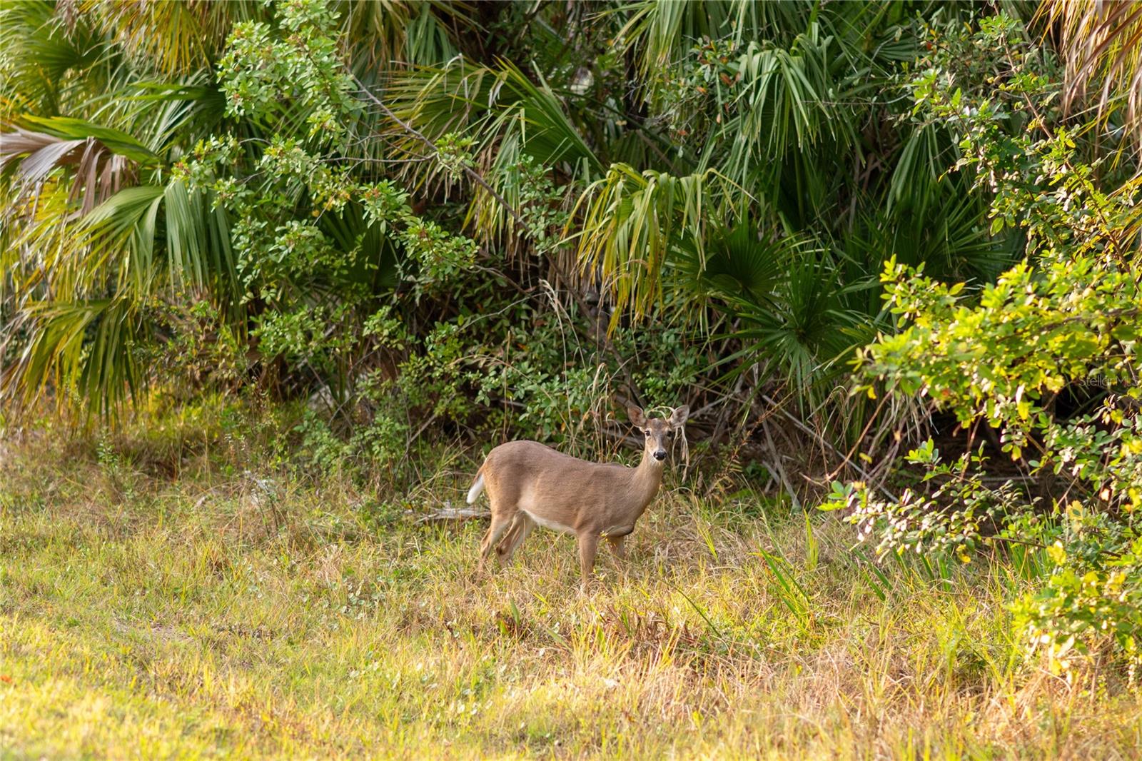 KAMSLER AVE, NORTH PORT, FL, 34286