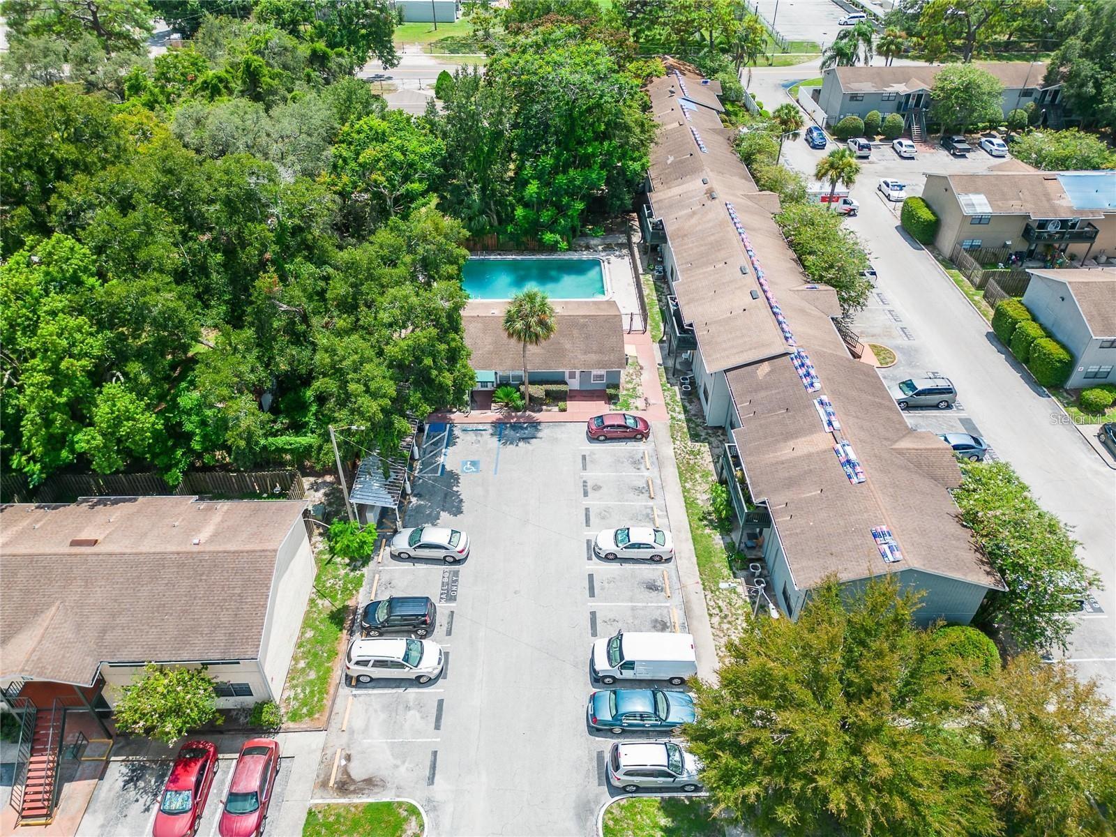 12401 HIBISCUS OAK PL #101, TAMPA, FL, 33612